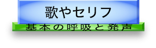 自己流初心者の薄い土台